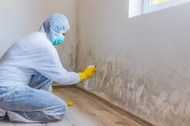 Trusted St John, MO Mold Prevention & Removal  Experts