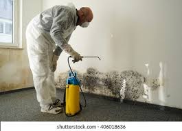 Mold Prevention & Removal